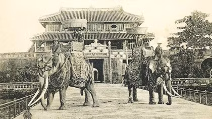 Cưỡi voi đánh trận thế nào?