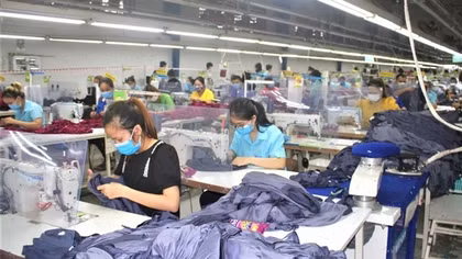 Hơn 540 doanh nghiệp tại Đà Nẵng bị thu hồi giấy chứng nhận đăng ký