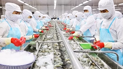 Giải bài toán tín dụng để hỗ trợ doanh nghiệp tận dụng hiệu quả FTA