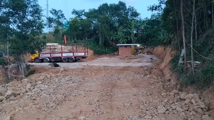 Ẩn họa từ hàng loạt trạm cân thu mua gỗ rừng trồng