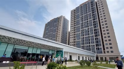 Nhiều người giàu vẫn “xí phần” mua nhà ở dành cho người thu nhập thấp