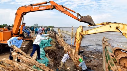 Cà Mau công bố tình huống khẩn cấp sạt lở bờ biển
