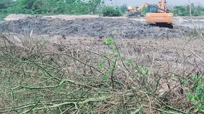 Đình chỉ thi công dự án sau vụ nhà thầu san ủi rừng ngập mặn