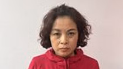 Truy tìm Đỗ Thị Vân Anh