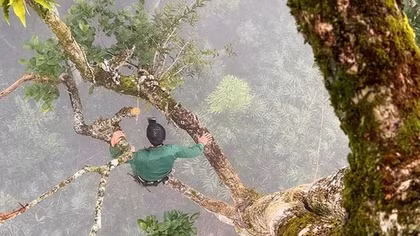 Săn Tết miệt rừng