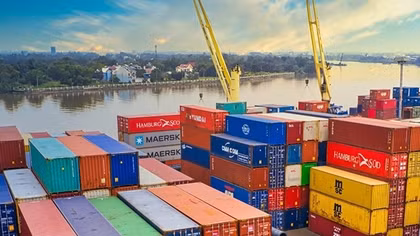 Lô hàng 10 container gỗ nhập khẩu “vắng chủ”