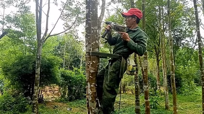 Về nơi thủ phủ dó trầm