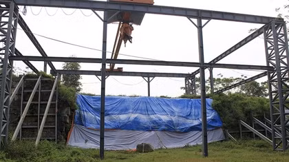 Thành nhà Hồ kêu cứu
