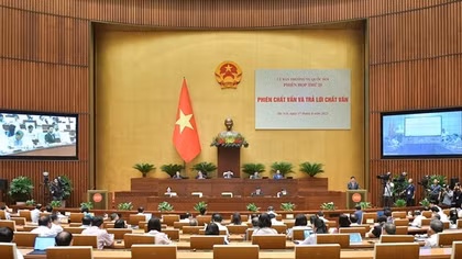 Khắc phục tình trạng thông đồng, "quân xanh, quân đỏ" trong đấu giá tài sản