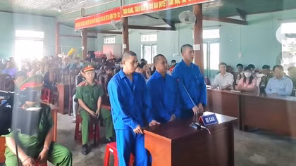 Hình phạt thích đáng cho những kẻ phá rừng mà Báo CAND đã phản ánh