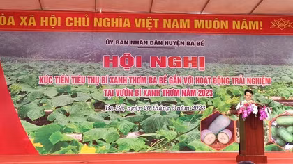 Xúc tiến tiêu thụ bí xanh thơm Ba Bể