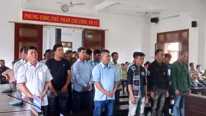 Tuyên án 27 bị cáo trong vụ phá rừng Hòn Đót ở Phú Yên