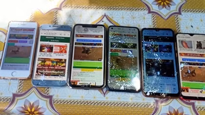Triệt xóa nhóm đối tượng tổ chức đá gà qua mạng với nhà cái tại nước ngoài