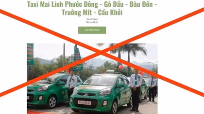 Xử phạt 3 đối tượng mạo danh doanh nghiệp vận tải