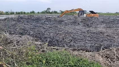 Vụ san ủi rừng ngập mặn ở Huế: Điều chỉnh dự án, cho phép doanh nghiệp thi công trở lại