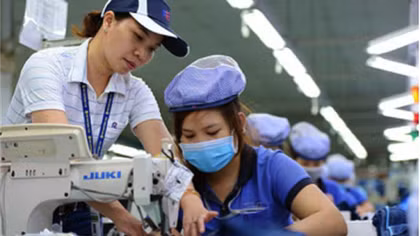 Tăng cường thanh tra, kiểm tra các đơn vị sử dụng lao động chậm đóng, nợ đọng BHXH
