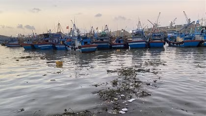Đầu tư 795.000 USD thực hiện thí điểm phi dự án mô hình quản lý rác thải