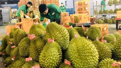 Để nông sản Việt chinh phục thị trường 1,5 tỷ người