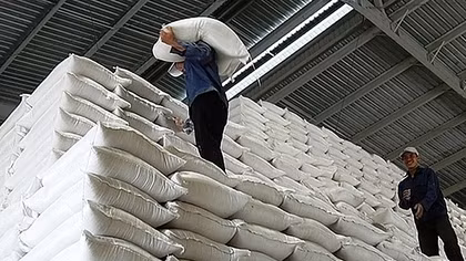 Xuất cấp gần 5 nghìn tấn gạo hỗ trợ nhân dân 5 tỉnh dịp Tết Nguyên đán