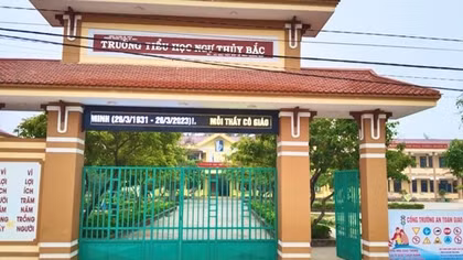 Vụ hiệu trưởng đấm hiệu phó: Người bị đấm cũng không thoát án phạt