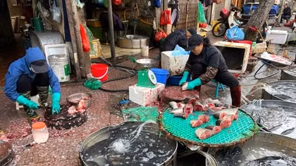 Thị trường thực phẩm sau Tết: Nguồn cung dồi dào, giá cả không tăng đột biến
