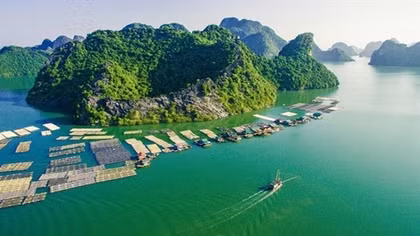 Quần thể Vịnh Hạ Long-quần đảo Cát Bà là Di sản Thiên nhiên thế giới