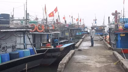 Chủ tàu cá “đỏ mắt” tìm lao động đi biển