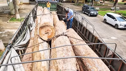 Khởi tố vụ án, bắt thêm 6 đối tượng