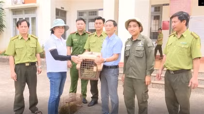 Bàn giao 2 con rái cá quý hiếm cho kiểm lâm