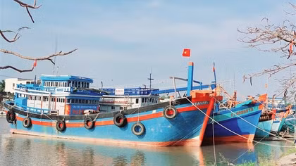Các tỉnh ven biển đồng bằng sông Cửu Long quyết tâm chống khai thác IUU