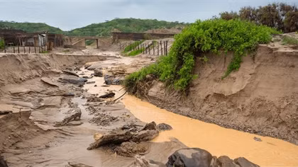 Vì sao El Nino quay trở lại?