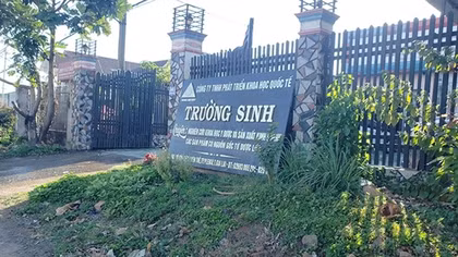 Phạt doanh nghiệp sử dụng trang thông tin điện tử trái phép