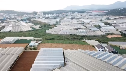 Hủy 213 thông báo thu hồi đất tại dự án dân cư lớn nhất Đà Lạt