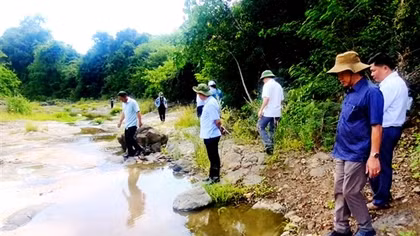 Tạm đình chỉ giải quyết nguồn tin tội phạm liên quan 5 trại chăn nuôi heo ở huyện Tuy An