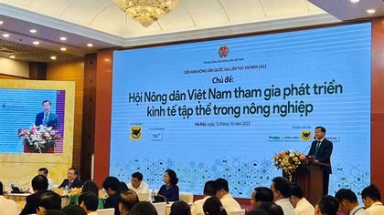 Yêu cầu bộ, ngành tháo gỡ khó khăn cho hợp tác xã