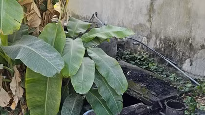 Xác định danh tính nạn nhân vụ bộ xương người trong bể phốt