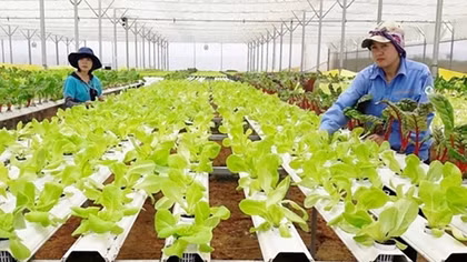 Phát triển nông nghiệp thịnh vượng, thực hiện khát vọng xây dựng đất nước hùng cường