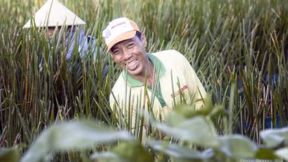 Miền Tây - Như mối tình đầu tôi đã đánh rơi...