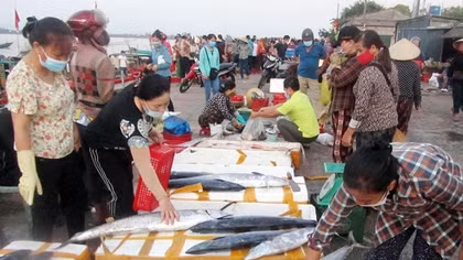 Chợ cá làng tôi