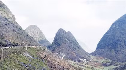 Sống ở miền đá xám