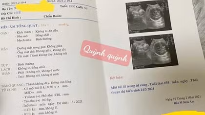 Thừa Thiên-Huế: Triệt phá đường dây mang thai hộ và mua bán thận liên tỉnh