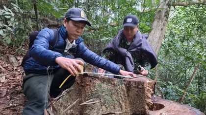 Ngược rừng lần theo dấu vết “lâm tặc”
