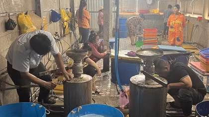 Bắt quả tang cơ sở bơm tạp chất vào tôm nguyên liệu