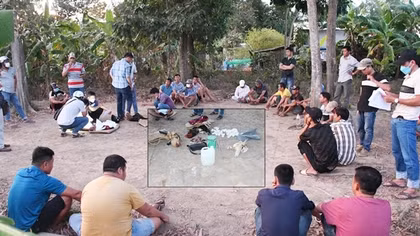 Công an Trà Vinh bắt 21 người tụ tập đá gà ăn thua bằng tiền