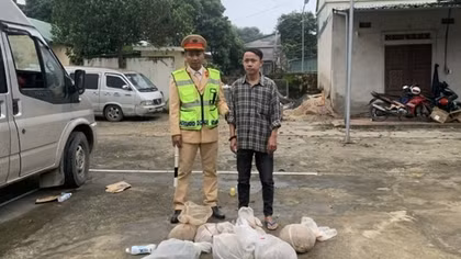 Giấu hàng chục cá thể tê tê và rắn trong xe chở chuối