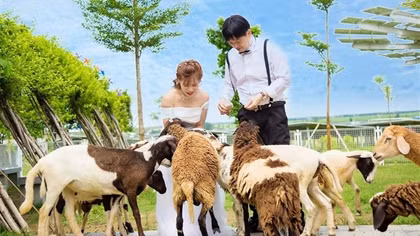 Điều chưa biết về địa điểm chụp ảnh cưới hút khách ở An Giang
