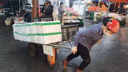 Oằn mình trong đêm lạnh Hà Nội