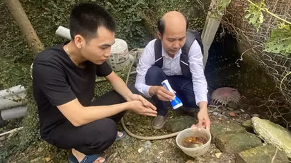 Hà Nội: Sốt xuất huyết, tay chân miệng tăng "chóng mặt"