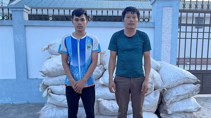 Phó Thủ tướng gửi thư khen Công an tỉnh Nghệ An phá đường dây vận chuyển vảy tê tê, gỗ trắc