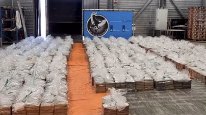 Hà Lan thu giữ hơn 8 tấn cocaine trên tàu chở chuối